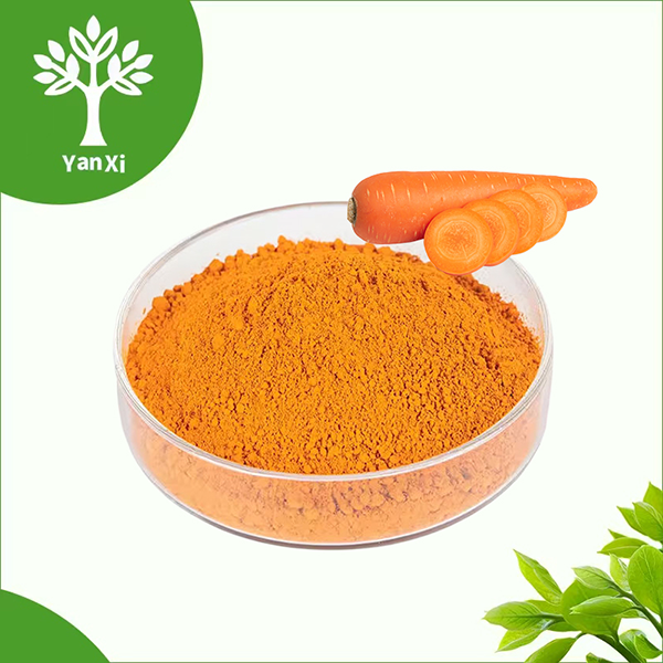Carrot Powder Bulk Carrot Powder Bulk